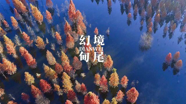 逃离别墅度假村