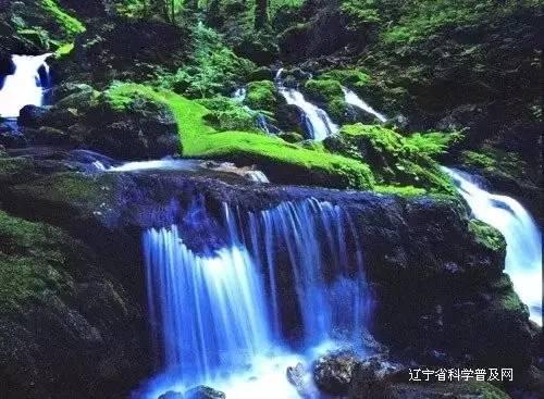 两会前瞻|“双减”后课外素质教育体系如何重建?民革上海市委这样建议